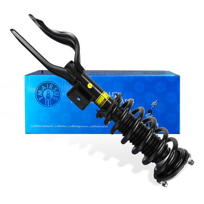 Thay đổi máy hấp thụ sốc dây chuyền 1188371-00-D 1188368-00-E cho Tesla Model Y AWD phía trước bên trái hoặc bên phải