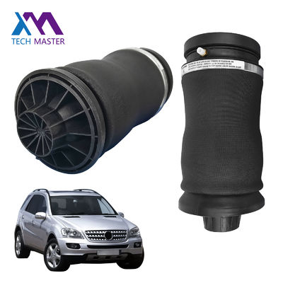 Chất lượng cao cấp với giá trị tốt nhất và cao su hàng đầu 1643200625 2923200525 Lò xo khí nén phía sau cho W164 ML350 ML500 2005-2011