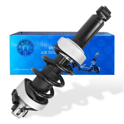 Mặt trước bên trái với quảng cáo treo không khí cho Au-Di R8 420412019AG