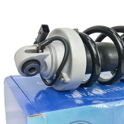 Mặt trước bên trái với quảng cáo treo không khí cho Au-Di R8 420412019AG