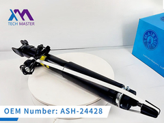 Tech Master LINCOIN MKS MKT phía sau với bộ hấp thụ sốc điện ASH-24428
