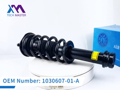 Chuyên gia kỹ thuật Tesla Model S Máy hấp thụ sốc phía trước hoàn chỉnh 1030607-01-A