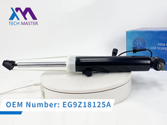 Tech Master Lincoln MKZ Máy hút sốc phía sau bên phải với ADS EG9Z18125A