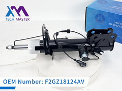 Tech Master Lincoln MKX Máy hấp thụ sốc phía trước bên trái với ADS F2GZ18124AV