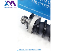 Kỹ thuật sư TMAIRSUS Máy hấp thụ sốc cho Audi R8