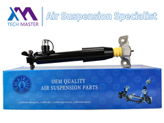 Tech Master Đằng sau bên trái Chất hấp thụ sốc cho Lincoln MKX F2GZ18125Z