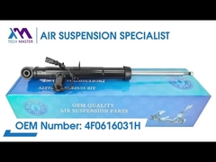 Tech Master TMAIRSUS Máy hút sốc đằng sau bên trái cho Audi A6L / C6 4F0616031H
