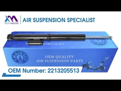 Tech Master TMAIRSUS Lái trái và phải hậu treo không khí Dampper lõi cho BENZ W221 2213205513