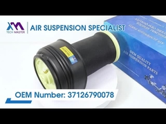 Tech Master TMAIRSUS Lưỡi liềm khí phía sau cho BMW X5 (E70) BMW X6 (E71) BMW X6 (E72) 37126790078